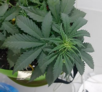 20230914_210432.jpg 20230914_210432.jpg