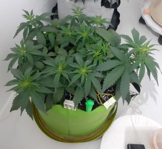 20230914_211632.jpg 20230914_211632.jpg