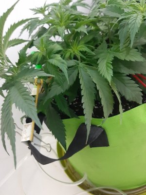 20230914_211948.jpg 20230914_211948.jpg