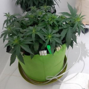 20230914_211913.jpg 20230914_211913.jpg