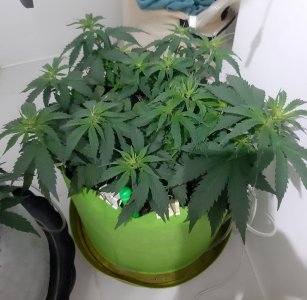 20230914_215708.jpg 20230914_215708.jpg