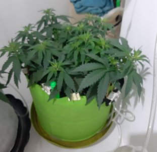 20230914_215545.jpg 20230914_215545.jpg