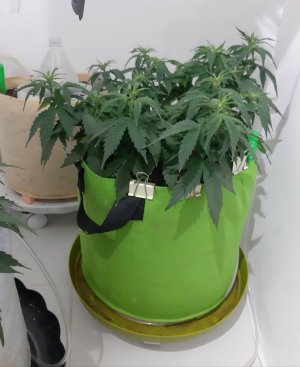 20230915_171629.jpg 20230915_171629.jpg