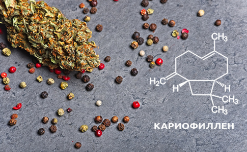 1610827350455.png 1610827350455.png