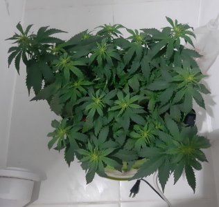 20230915_180754.jpg 20230915_180754.jpg