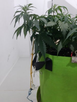 20230915_180709.jpg 20230915_180709.jpg