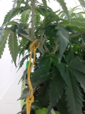 20230915_180633.jpg 20230915_180633.jpg