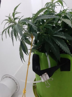 20230915_180618.jpg 20230915_180618.jpg