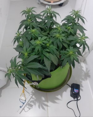 20230915_180602.jpg 20230915_180602.jpg