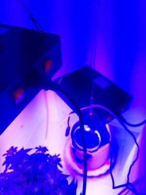 20230915_180549.jpg 20230915_180549.jpg