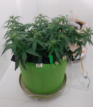 20230915_181912.jpg 20230915_181912.jpg