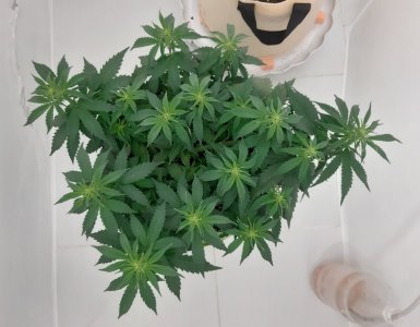 20230915_181838.jpg 20230915_181838.jpg