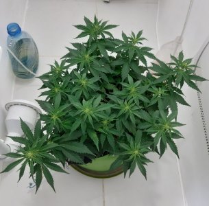 20230915_182905.jpg 20230915_182905.jpg