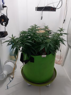 20230915_182852.jpg 20230915_182852.jpg