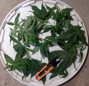 20230915_182820.jpg 20230915_182820.jpg