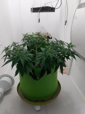 20230915_182739.jpg 20230915_182739.jpg