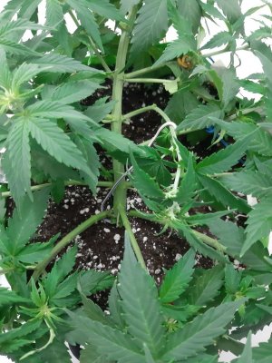 20230915_182754.jpg 20230915_182754.jpg