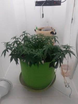 20230916_085126.jpg 20230916_085126.jpg