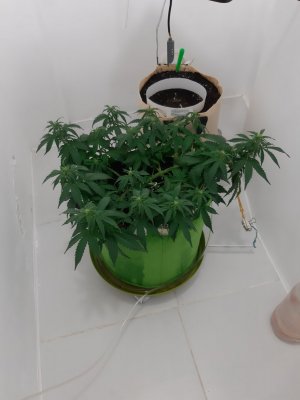 20230916_085051.jpg 20230916_085051.jpg