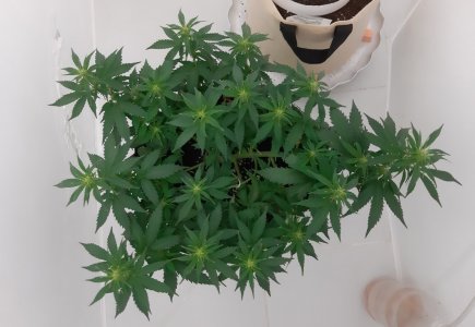 20230916_103020.jpg 20230916_103020.jpg