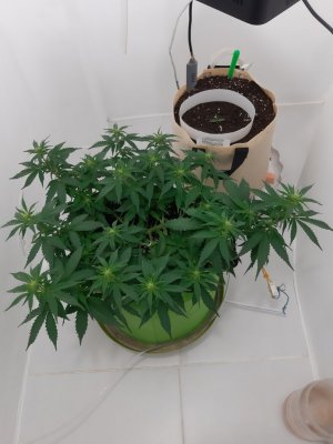 20230916_103034.jpg 20230916_103034.jpg