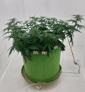 20230916_103742.jpg 20230916_103742.jpg