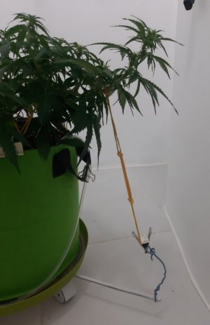 20230916_103605.jpg 20230916_103605.jpg