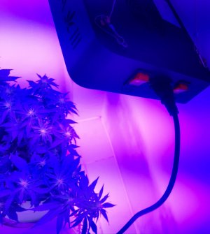 20230916_103448.jpg 20230916_103448.jpg