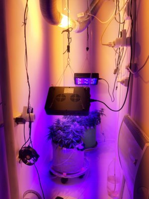 20230916_103531.jpg 20230916_103531.jpg