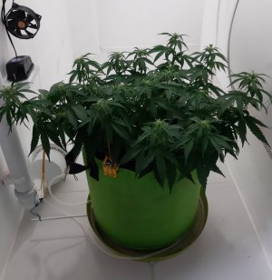 20230916_122705.jpg 20230916_122705.jpg