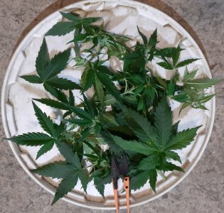 20230916_122529.jpg 20230916_122529.jpg