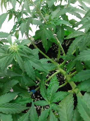 20230916_122548.jpg 20230916_122548.jpg