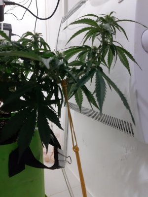 20230916_122621.jpg 20230916_122621.jpg