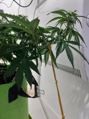 20230916_122601.jpg 20230916_122601.jpg