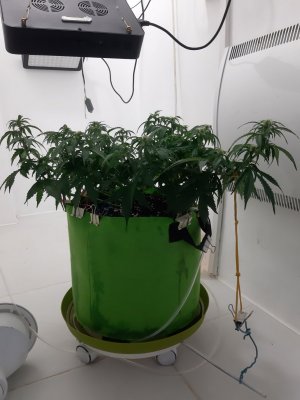 20230916_122423.jpg 20230916_122423.jpg