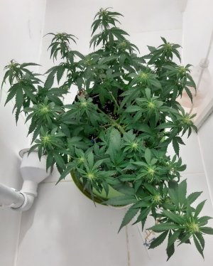 20230916_122509.jpg 20230916_122509.jpg