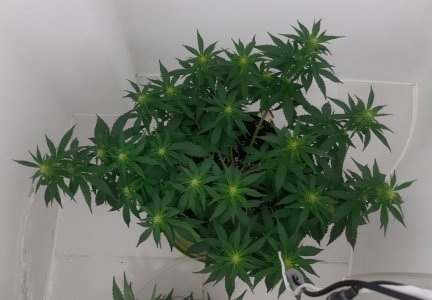 20230916_211521.jpg 20230916_211521.jpg