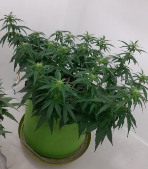 20230916_211351.jpg 20230916_211351.jpg