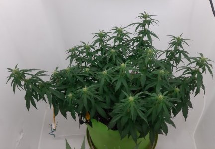 20230916_211234.jpg 20230916_211234.jpg