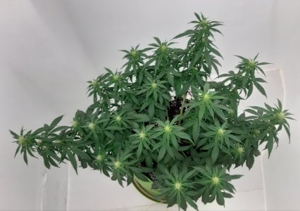 20230916_211219.jpg 20230916_211219.jpg