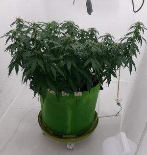 20230916_210937.jpg 20230916_210937.jpg