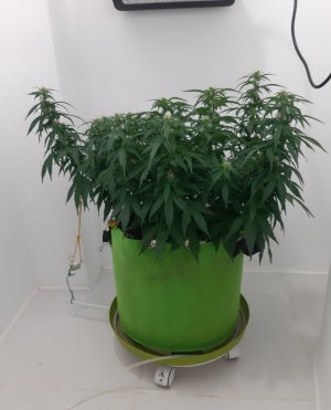 20230916_210811.jpg 20230916_210811.jpg