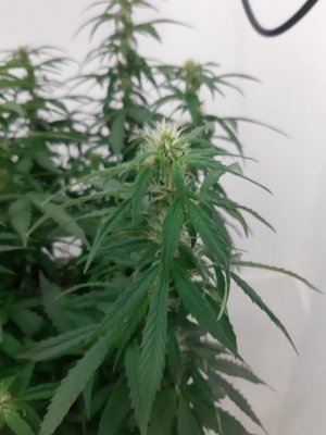 20230916_210738.jpg 20230916_210738.jpg