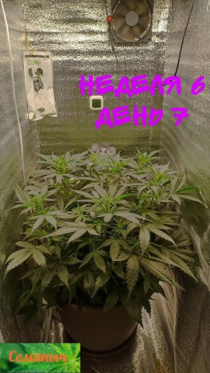 Picsart_23-09-17_09-00-54-302.jpg Picsart_23-09-17_09-00-54-302.jpg