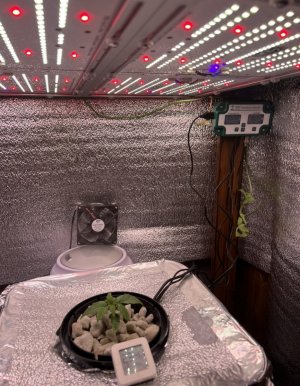 IMG_2800.jpeg IMG_2800.jpeg