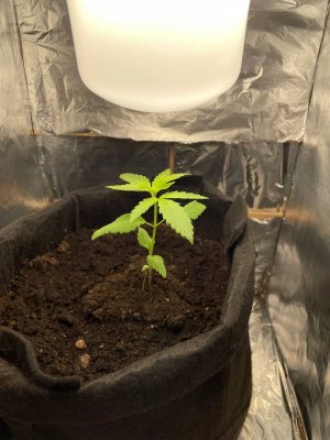 photo_2023-09-19_13-45-58.jpg photo_2023-09-19_13-45-58.jpg