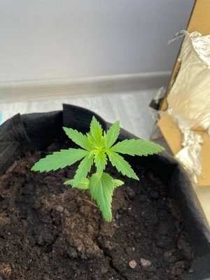 photo_2023-09-19_13-45-59.jpg photo_2023-09-19_13-45-59.jpg