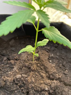 photo_2023-09-19_13-45-59 (2).jpg photo_2023-09-19_13-45-59 (2).jpg