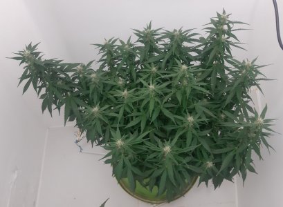 20230919_212839.jpg 20230919_212839.jpg