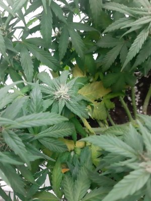 20230919_213136.jpg 20230919_213136.jpg